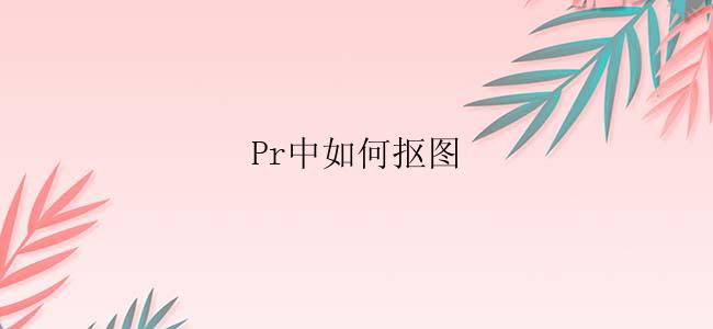 Pr中如何抠图