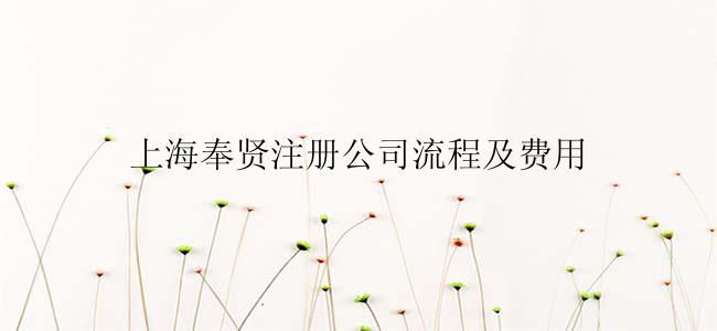 上海奉贤注册公司流程及费用