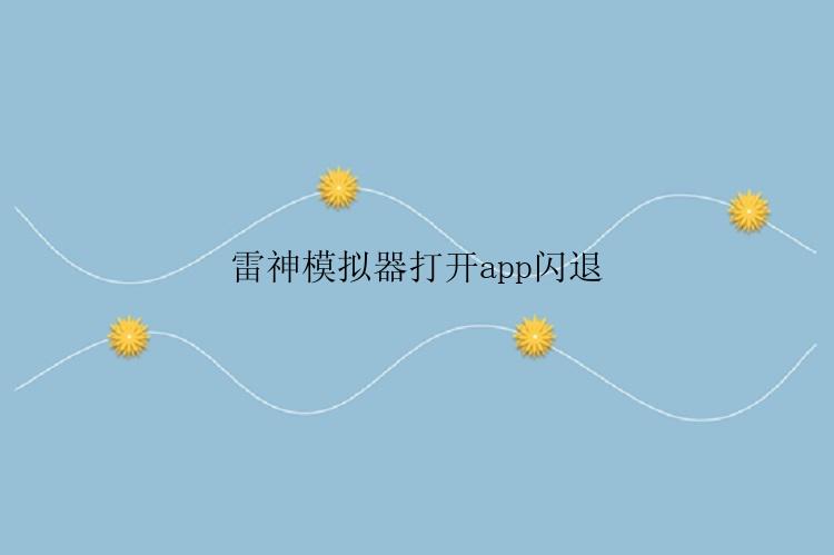 雷神模拟器打开app闪退