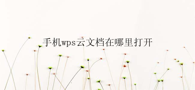 手机wps云文档在哪里打开