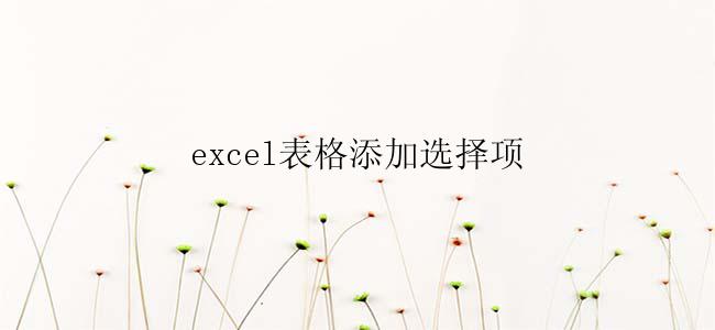 excel表格添加选择项