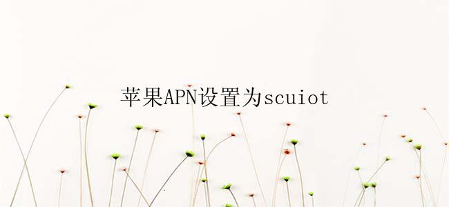 苹果APN设置为scuiot