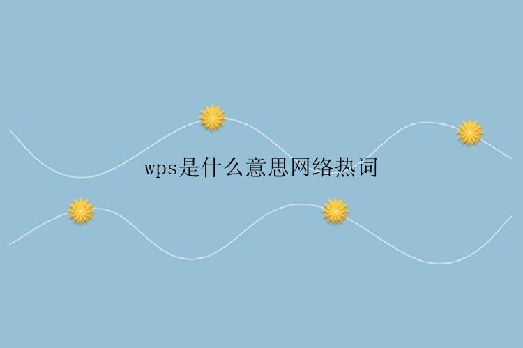 wps是什么意思网络热词