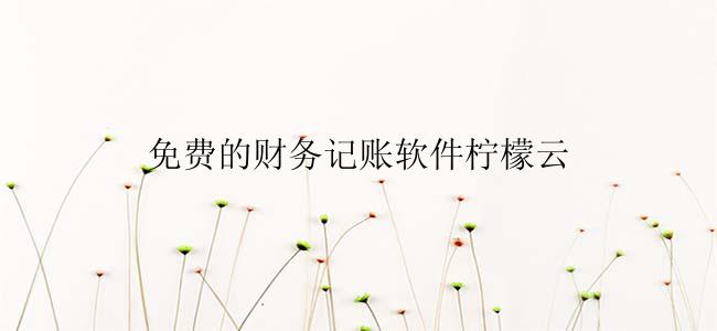 免费的财务记账软件柠檬云