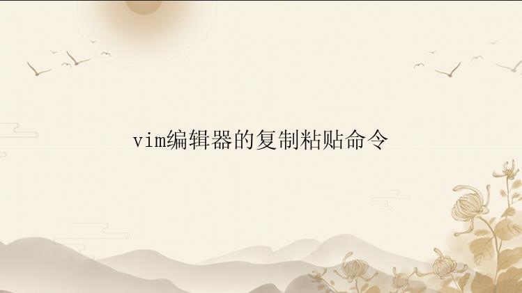 vim编辑器的复制粘贴命令