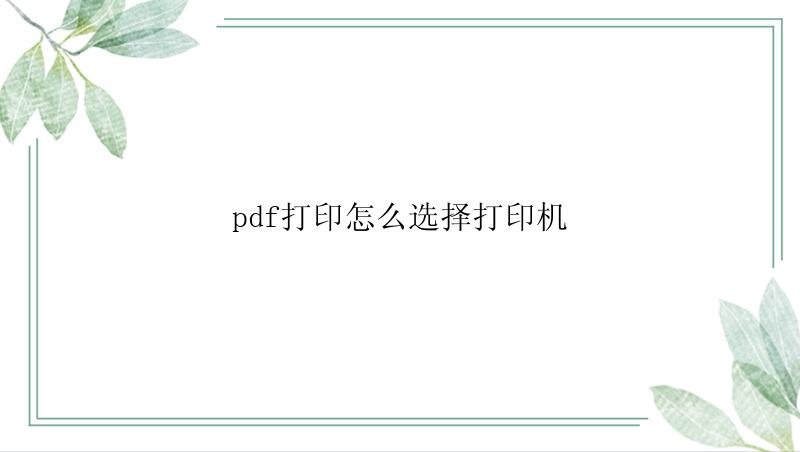 pdf打印怎么选择打印机