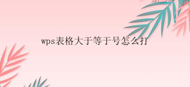 wps表格大于等于号怎么打