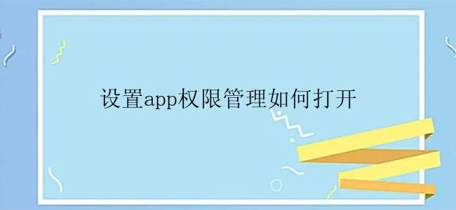 设置app权限管理如何打开