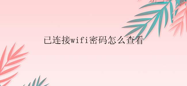 已连接wifi密码怎么查看