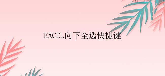 EXCEL向下全选快捷键