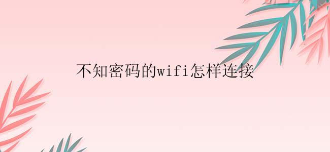 不知密码的wifi怎样连接