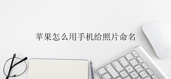 苹果怎么用手机给照片命名