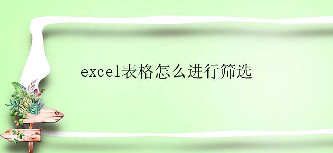 excel表格怎么进行筛选