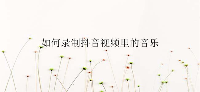 如何录制抖音视频里的音乐