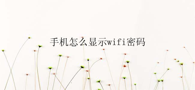 手机怎么显示wifi密码