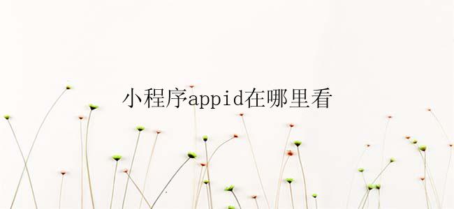 小程序appid在哪里看