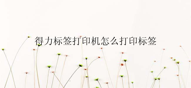 得力标签打印机怎么打印标签