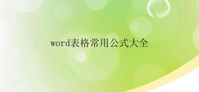 word表格常用公式大全