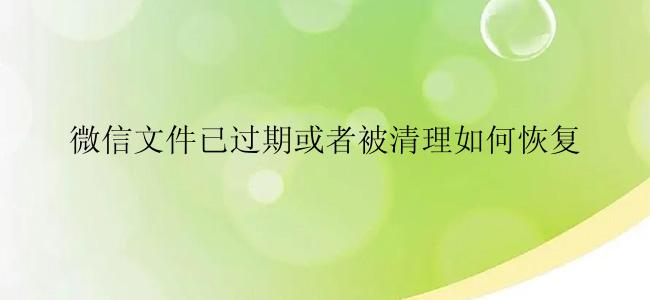 微信文件已过期或者被清理如何恢复