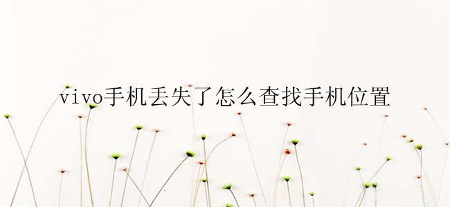 vivo手机丢失了怎么查找手机位置