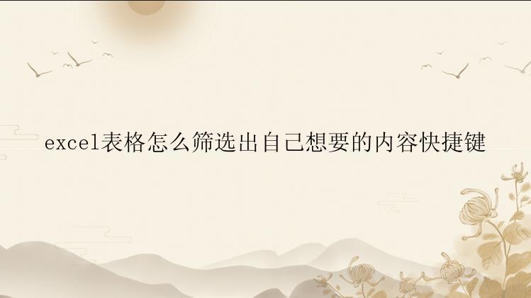 excel表格怎么筛选出自己想要的内容快捷键