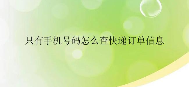 只有手机号码怎么查快递订单信息