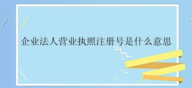 企业法人营业执照注册号是什么意思