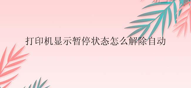 打印机显示暂停状态怎么解除自动