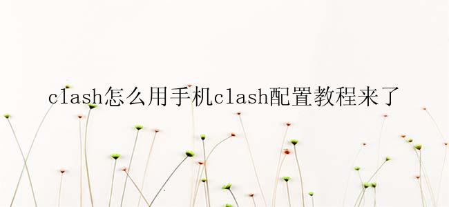 clash怎么用手机clash配置教程来了