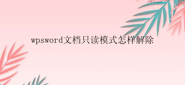 wpsword文档只读模式怎样解除