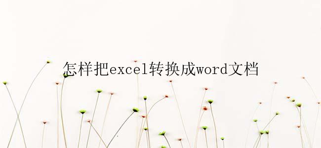 怎样把excel转换成word文档