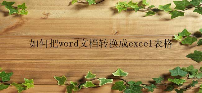 如何把word文档转换成excel表格