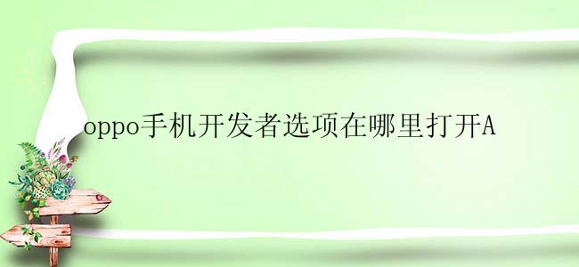 oppo手机开发者选项在哪里打开A