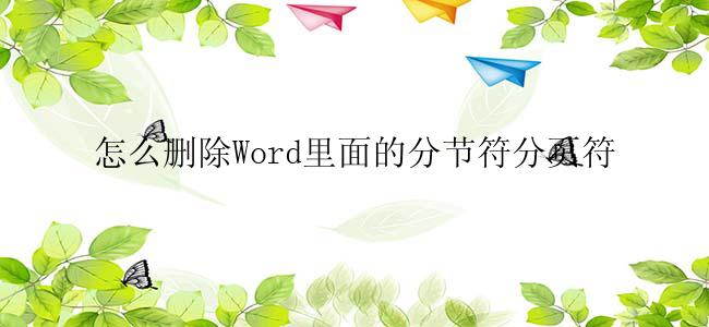 怎么删除Word里面的分节符分页符