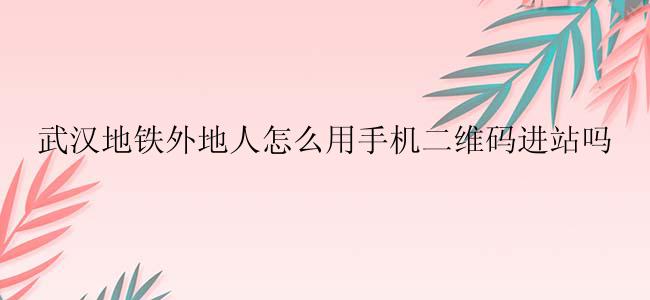 武汉地铁外地人怎么用手机二维码进站吗