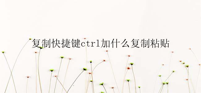 复制快捷键ctrl加什么复制粘贴