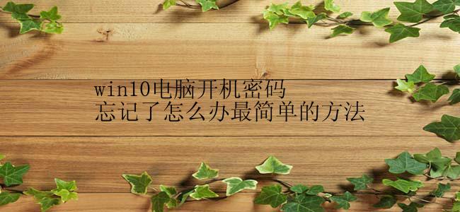 win10电脑开机密码忘记了怎么办最简单的方法