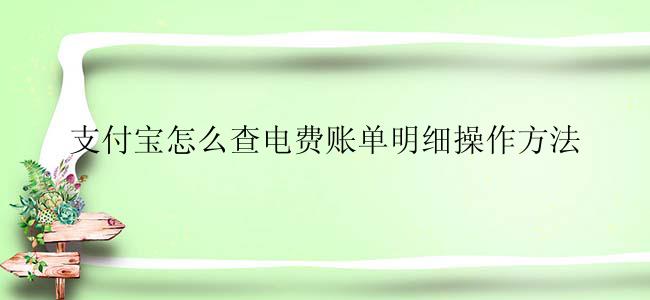 支付宝怎么查电费账单明细操作方法