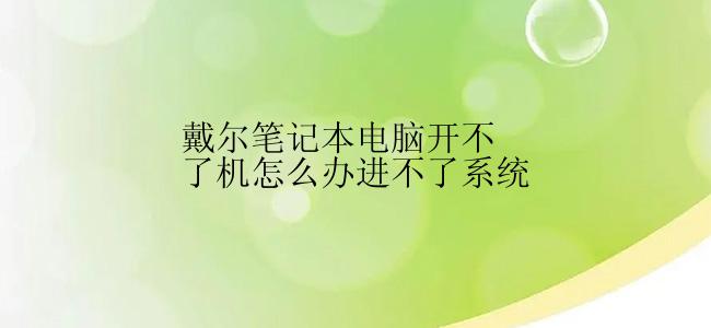 戴尔笔记本电脑开不了机怎么办进不了系统