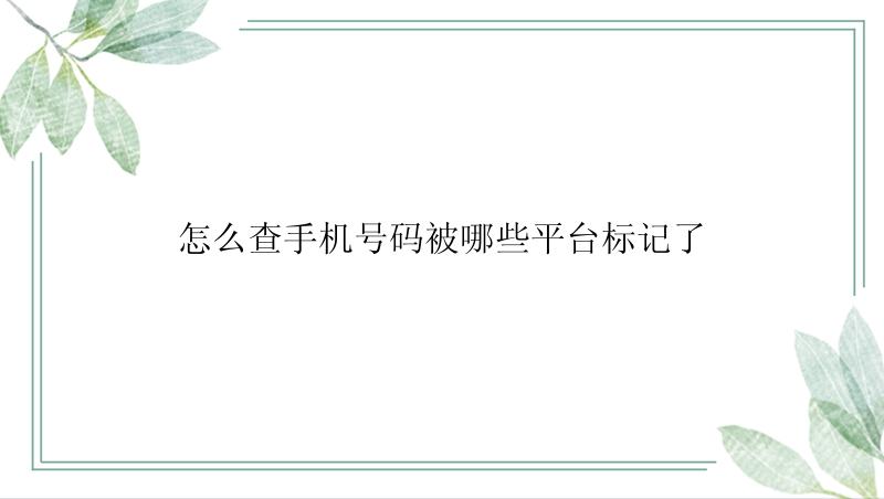 怎么查手机号码被哪些平台标记了