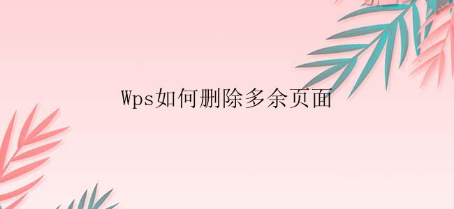 Wps如何删除多余页面