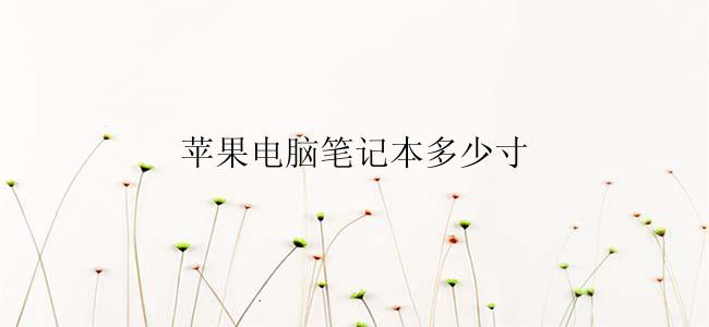 苹果电脑笔记本多少寸