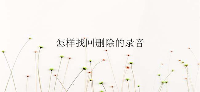 怎样找回删除的录音