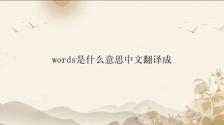 words是什么意思中文翻译成