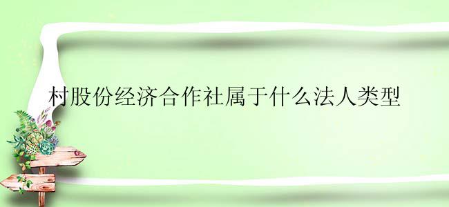 村股份经济合作社属于什么法人类型