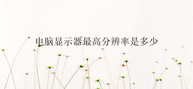 电脑显示器最高分辨率是多少