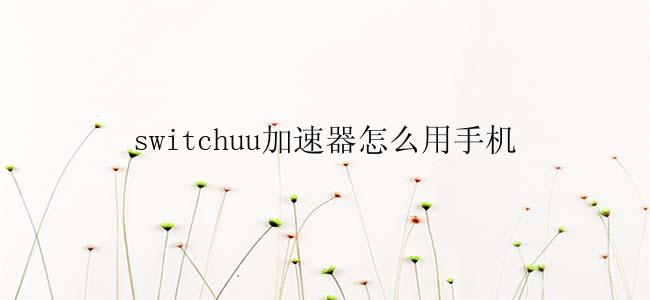 switchuu加速器怎么用手机