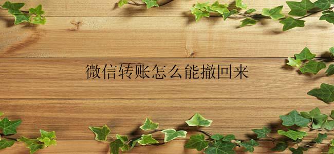 微信转账怎么能撤回来