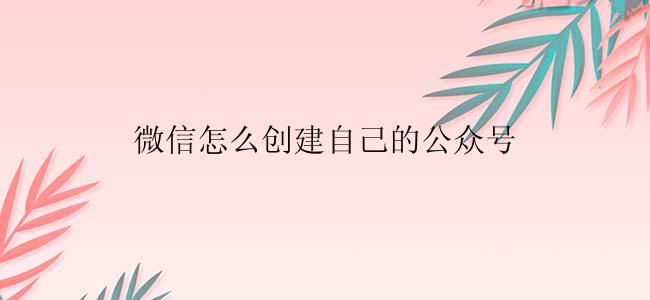 微信怎么创建自己的公众号