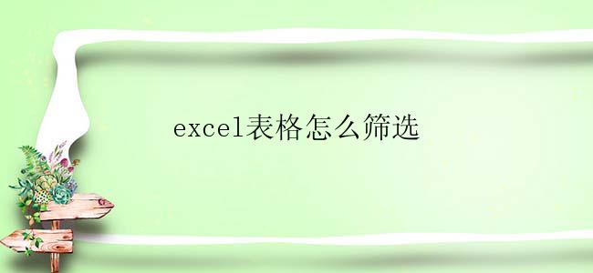 excel表格怎么筛选